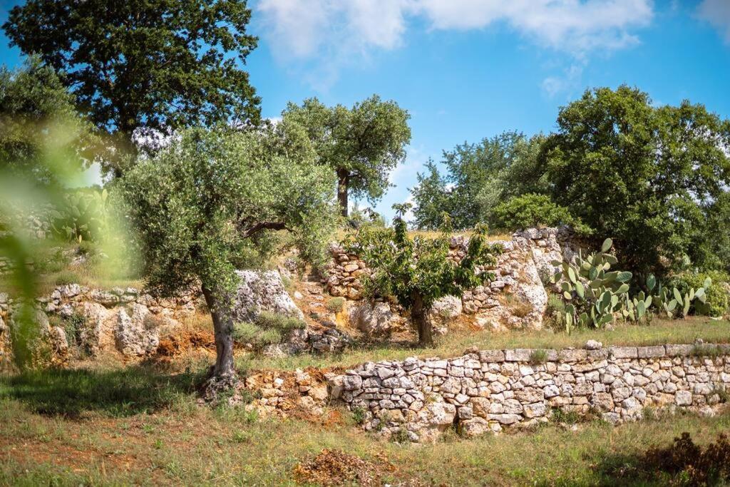 Willa Trullo Caelum Alberobello Zewnętrze zdjęcie
