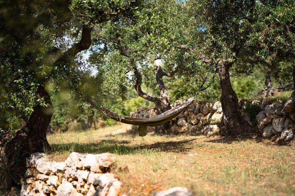Willa Trullo Caelum Alberobello Zewnętrze zdjęcie
