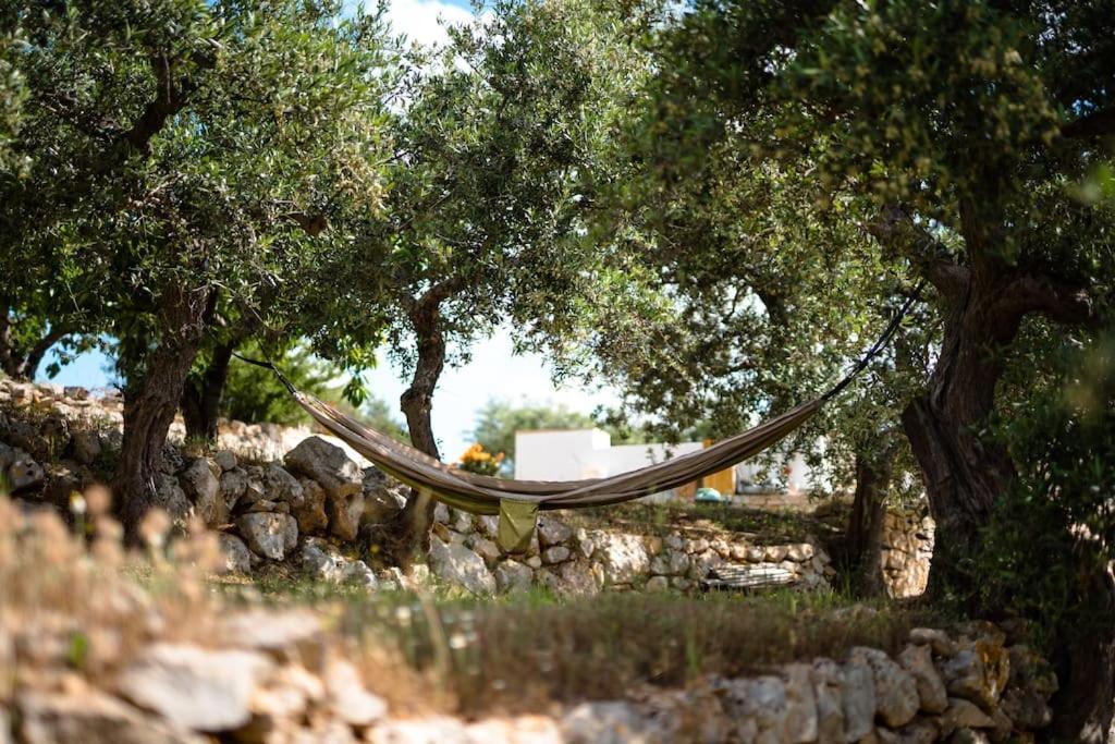 Willa Trullo Caelum Alberobello Zewnętrze zdjęcie